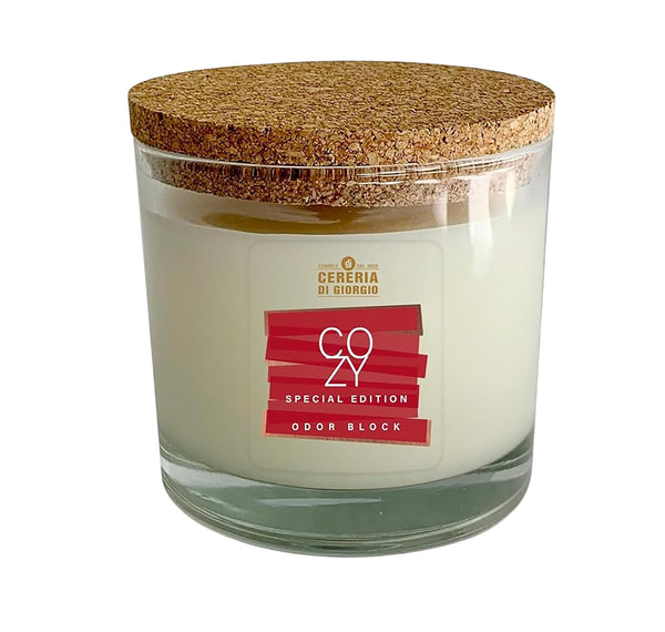 Vela vegetal naranja y canela Cereria di Giorgio, 210 g