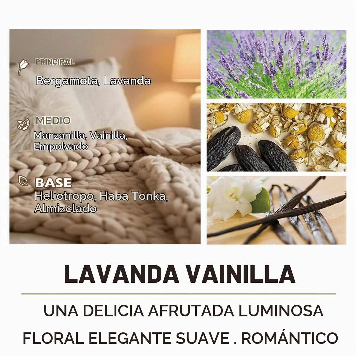 Vela de soja lavanda y vainilla HomeLights, 190 g