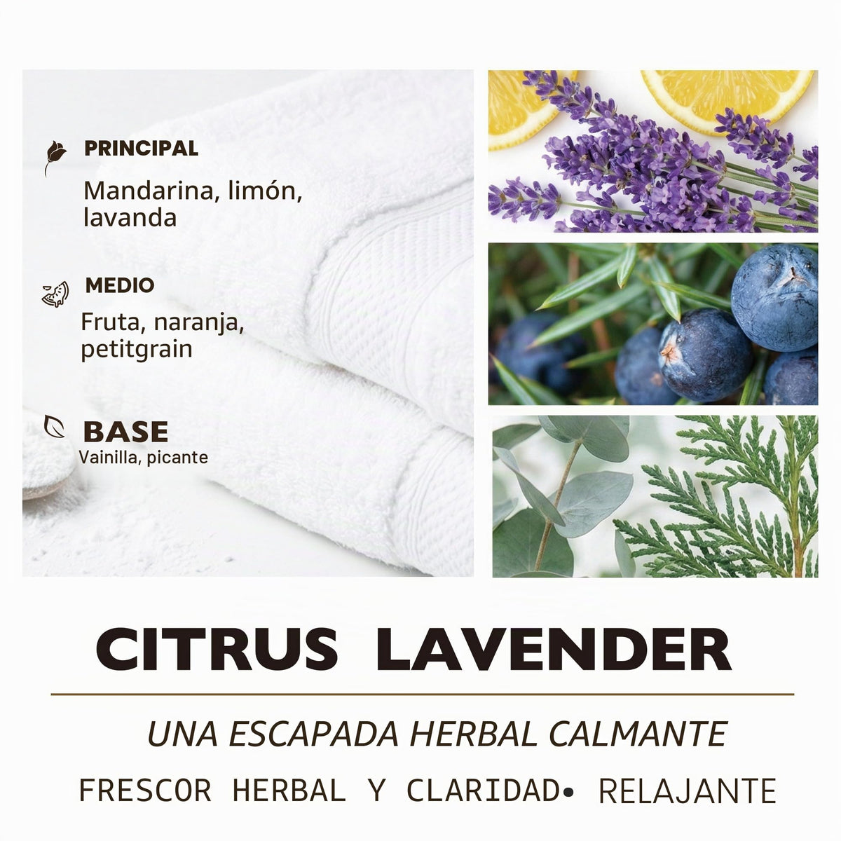 Vela de soja cítricos y lavanda HomeLights, 190 g
